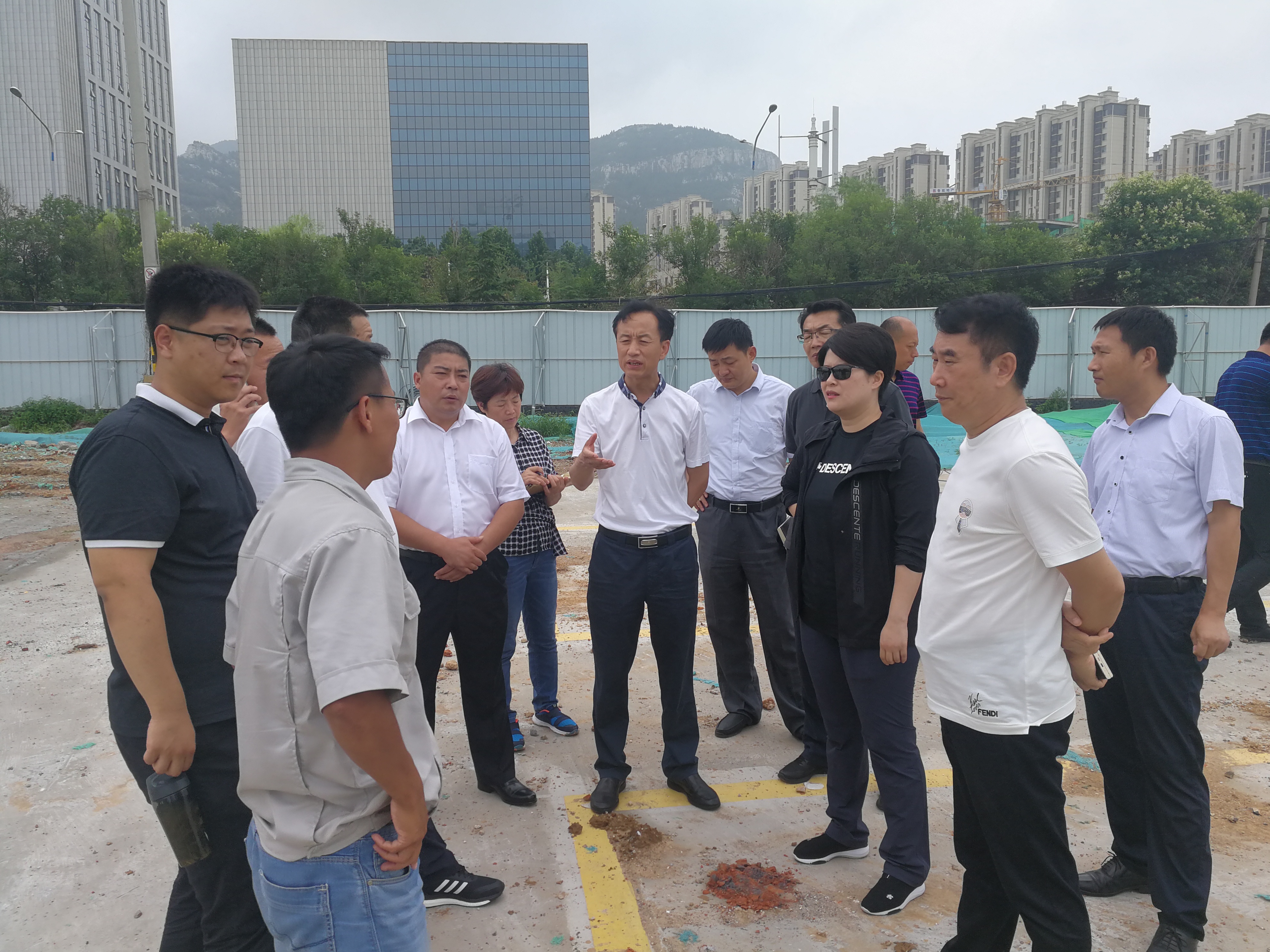 区委常委,区委办公室主任陈国华现场察看全市重点项目建设半年展示