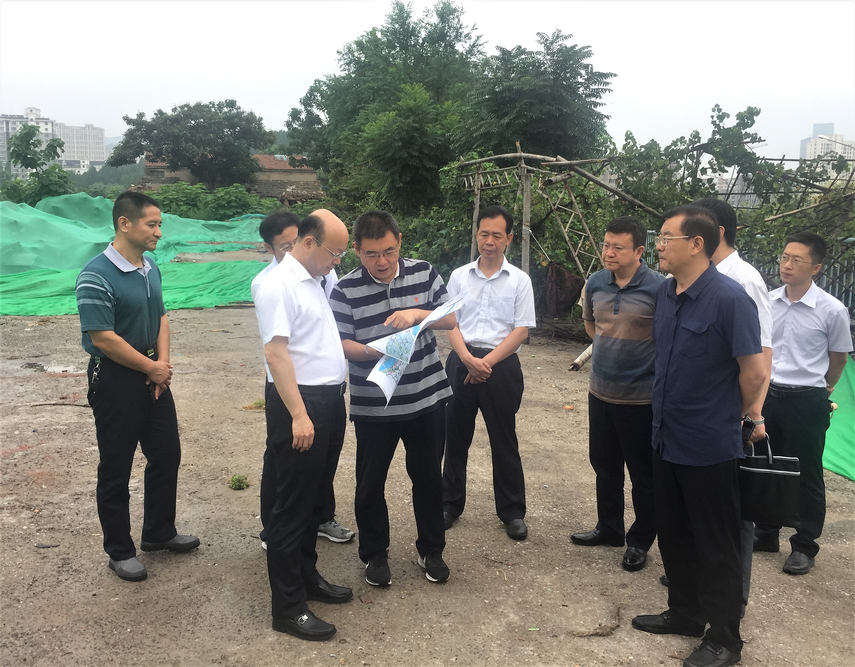 我区与新华社山东分社对接有关工作